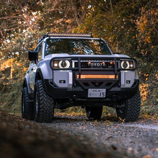 #029 LANDCRUISER250